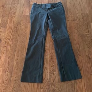 The Limited Dress Pants